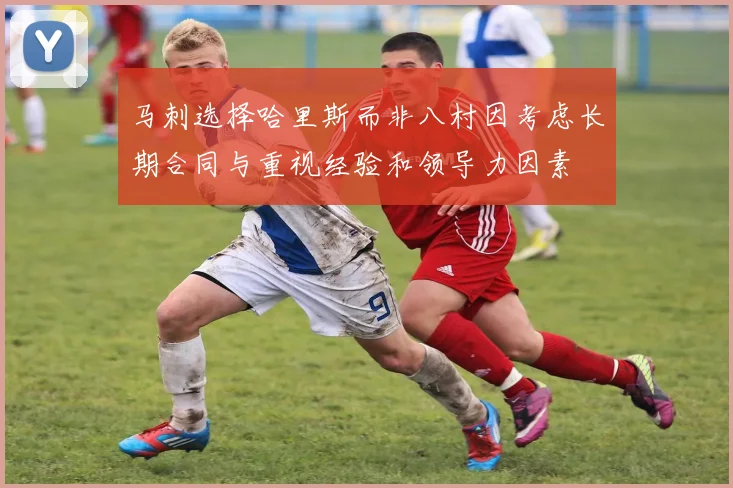 马刺选择哈里斯而非八村因考虑长期合同与重视经验和领导力因素