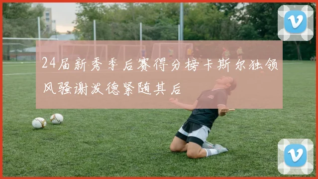 24届新秀季后赛得分榜卡斯尔独领风骚谢泼德紧随其后
